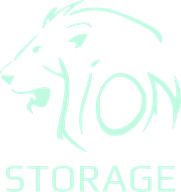 Lion Storage