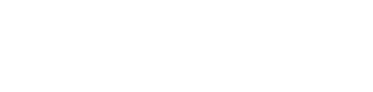 Crane logo white