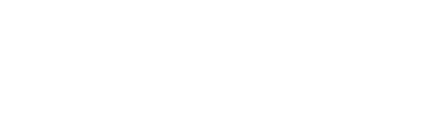 Pivotal_Logo_white